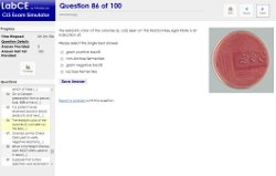CLS Certification Exam Simulator Examreview-incourse-1-small