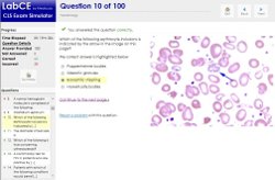 CLS Certification Exam Simulator Examreview-incourse-2-small