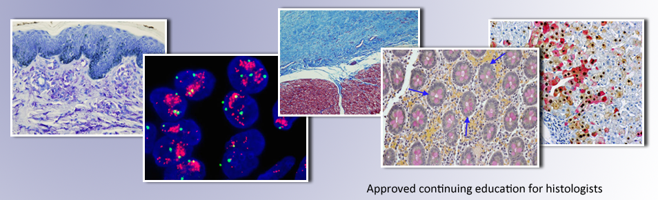 LabCE.com - CE / CEUs for Medical Technologists and Clinical Laboratory ...